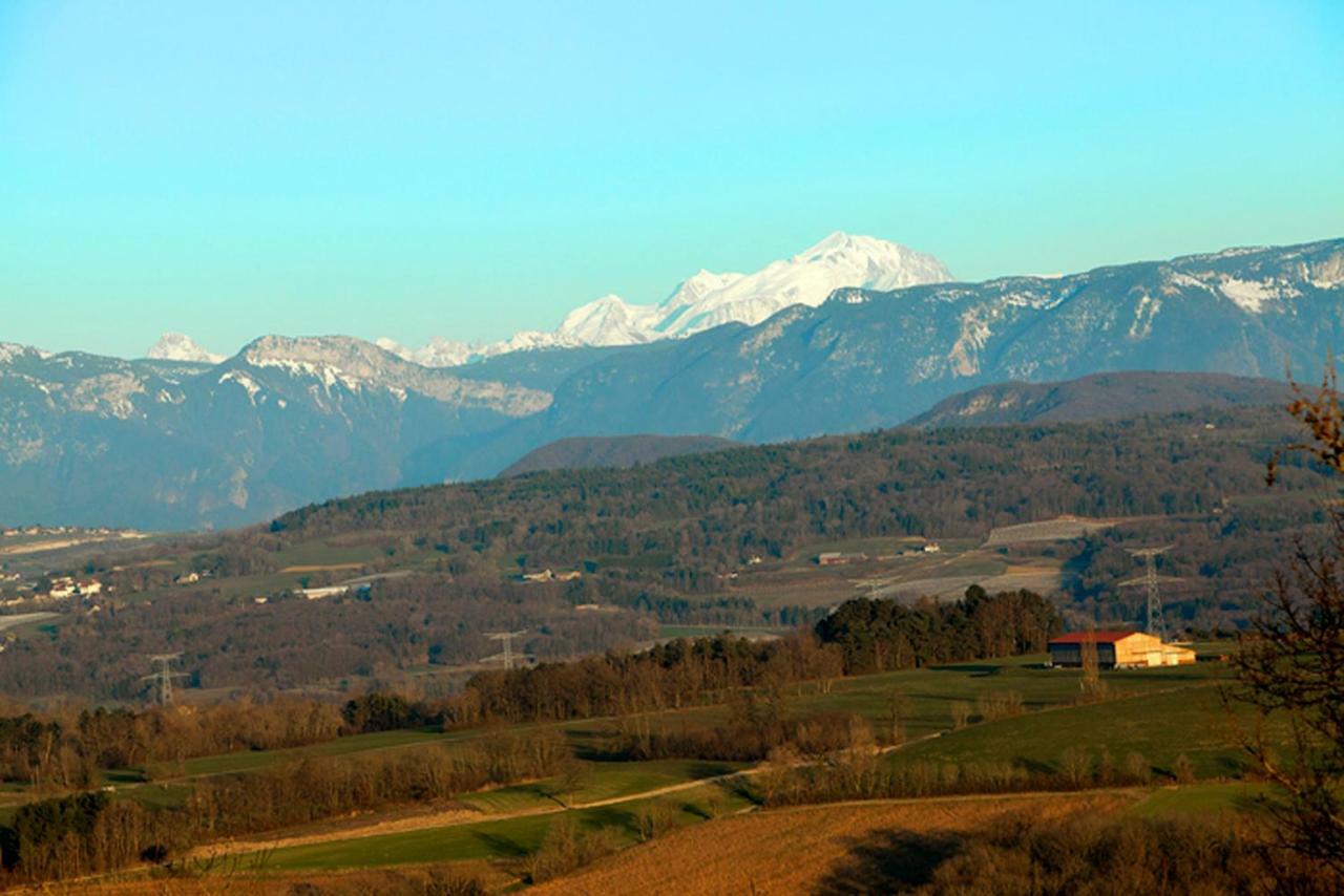 Chaumont  Le Manoir Bed & Breakfast エクステリア 写真